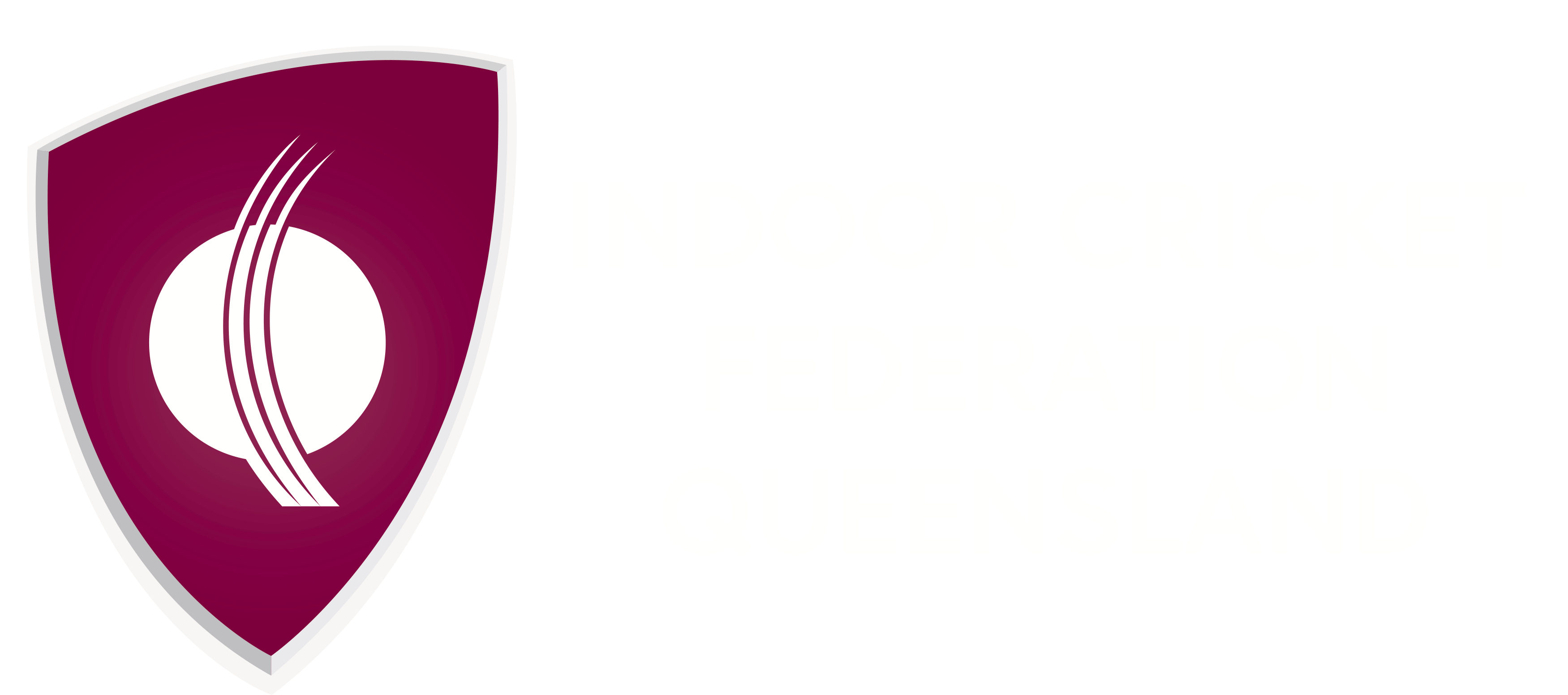 Indoor Cricket Federation Queensland logo